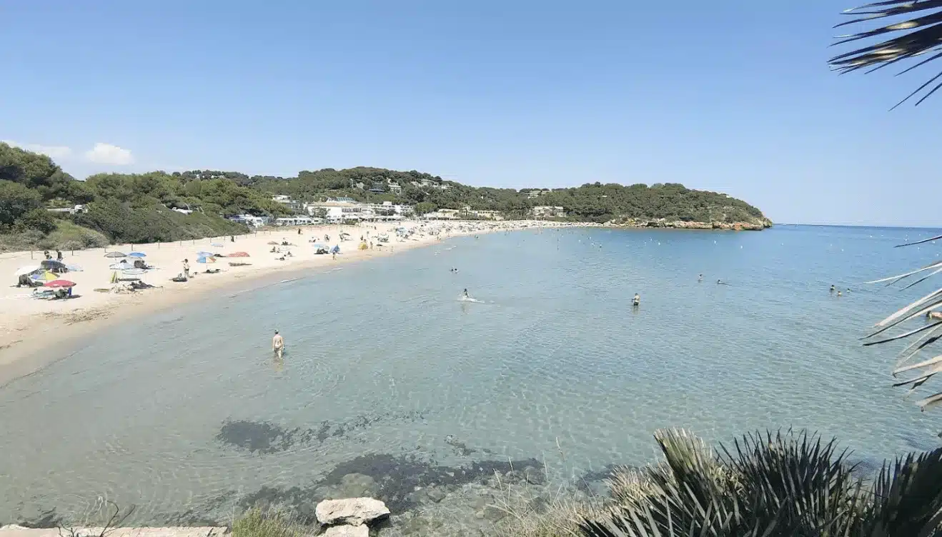 Playa de la Móra en Tarragona, con ambiente familiar y el núcleo residencial de fondo