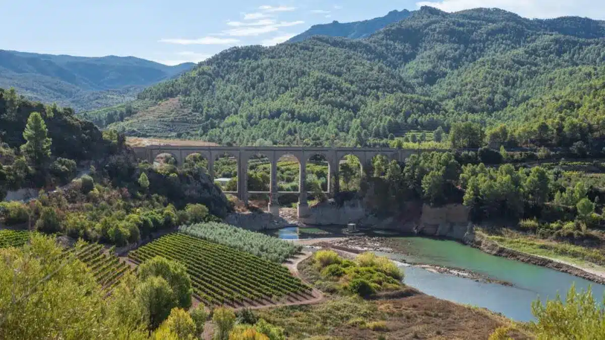 Vista del embalse de Margalef en un día soleado, con reflejos en el agua.