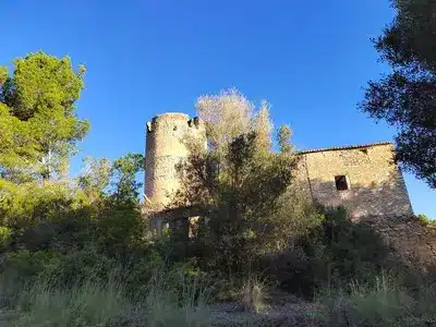 Bosques del Catllar - Senderos y naturaleza mediterránea