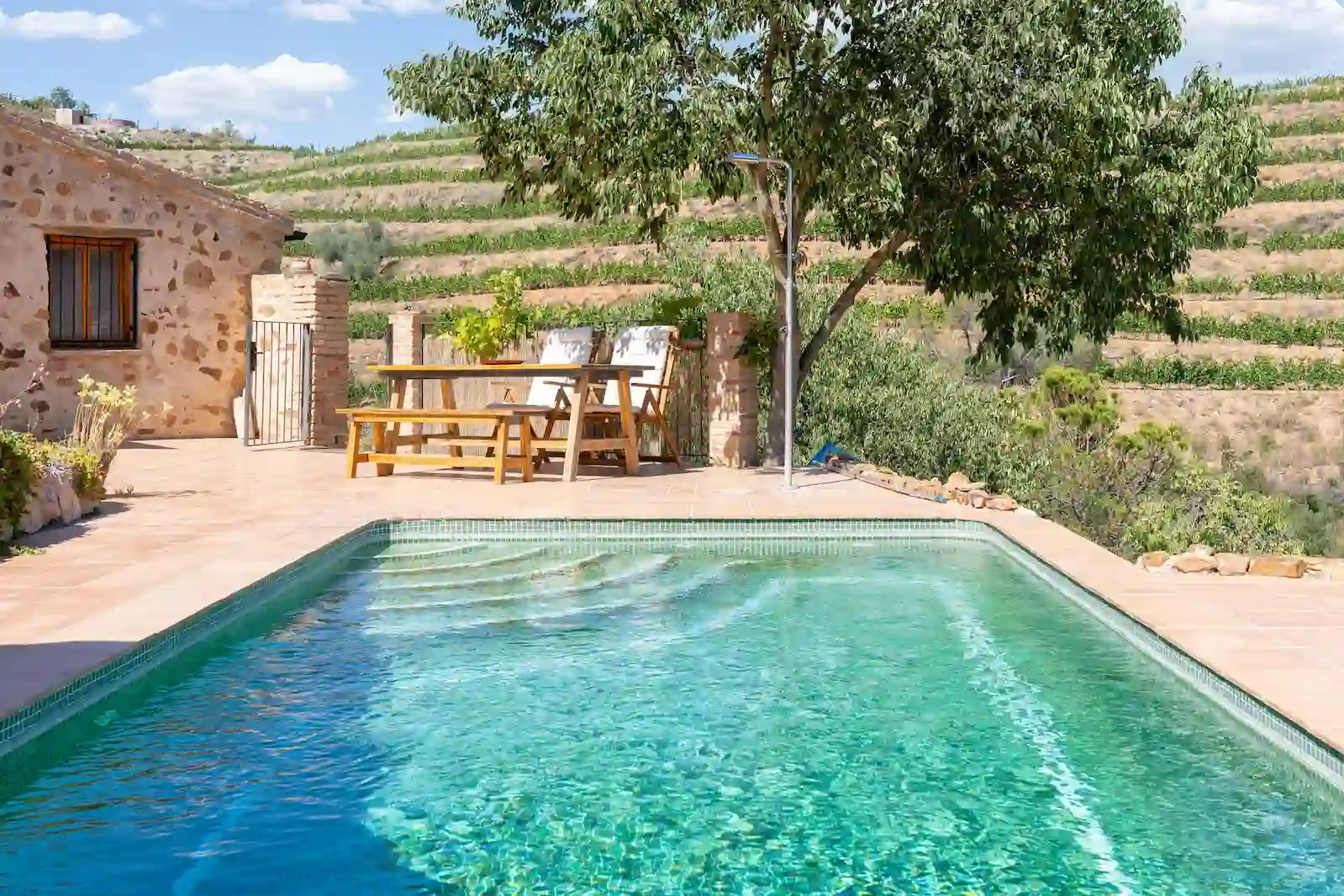 Viñedo en producción de ocho hectáreas en una finca del Priorat